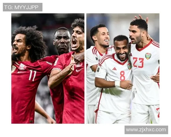 2014世界杯精彩对决法国队与尼日利亚队的激烈较量回顾