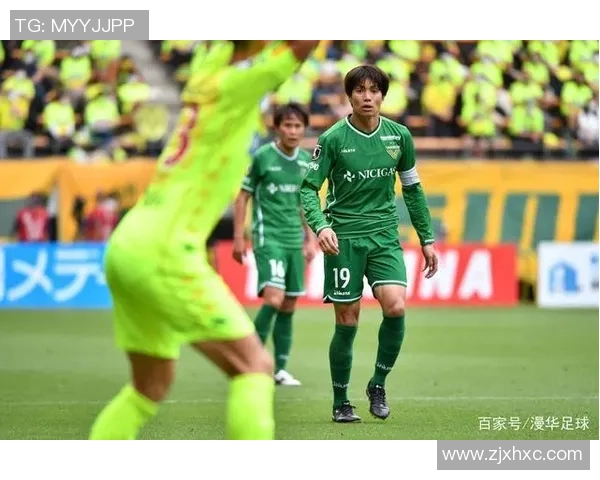 冈山绿雉与东京绿茵比赛腰斩的原因分析及影响探讨 冈山绿雉与东京绿茵比赛腰斩的原因分析及影响探讨